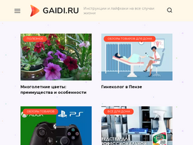 gaidi.ru-screenshot-desktop